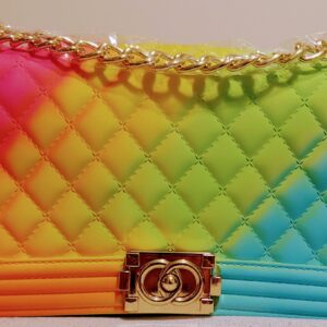 Beautiful Large Multicolor Pinch Closure Bag